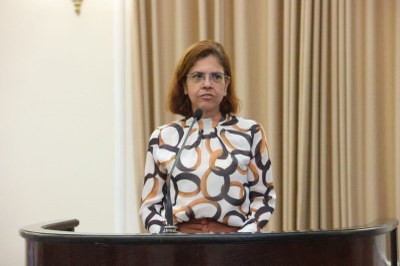 Sessão Especial - 10 anos do Marco Legal da Primeira Infância (18).jpeg