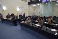 Em sessão ordinária histórica, plenário analisa e vota 100 matérias 
