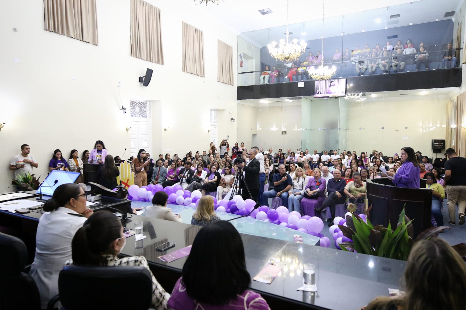 Agosto Lilás e Lei Maria da Penha são debatidos em sessão especial