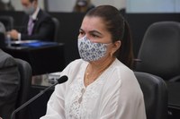 Aprovado, em 1º turno, projeto criando orientações para gestantes que desejam entregar filho para adoção