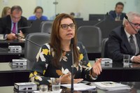 Aprovado projeto que garante o direito ao parto humanizado nos estabelecimentos públicos de saúde