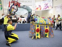 Assembleia debate o fortalecimento da Cultura e da Arte Popular