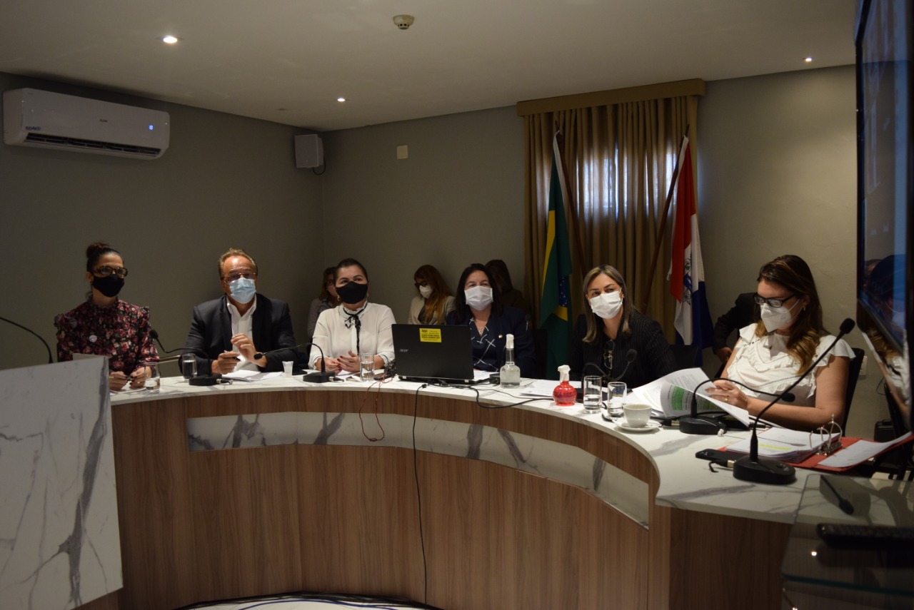 Audiência pública discute autonomia da gestante e direito ao parto cesárea