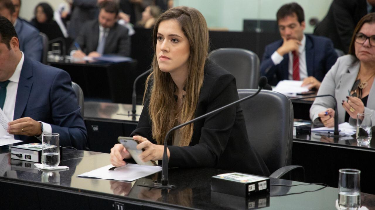 Cibele Moura apresenta indicação que concede crédito a feirantes, ambulantes e artesãos