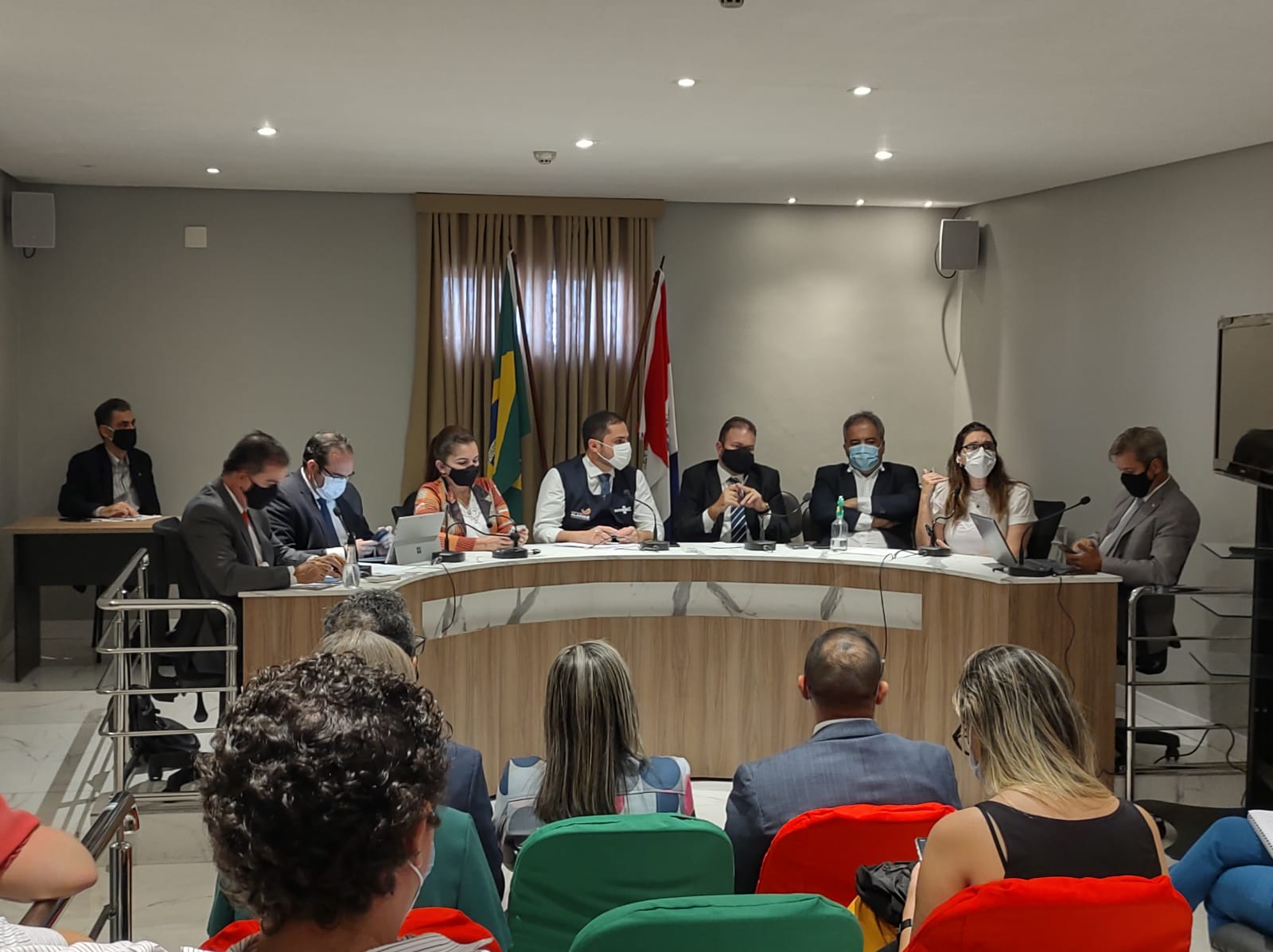 Comissão de Saúde questiona Governo sobre ações de combate à pandemia