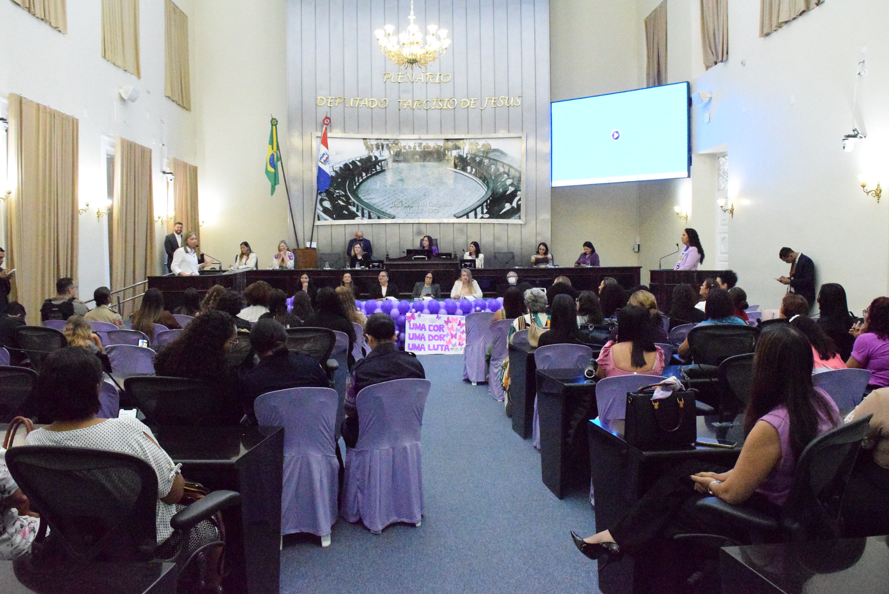 Dados de violência contra a mulher são apresentados em sessão especial do Agosto Lilás