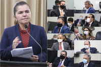 Deputados criticam política de preços dos combustíveis e declaração do secretário da Fazenda 