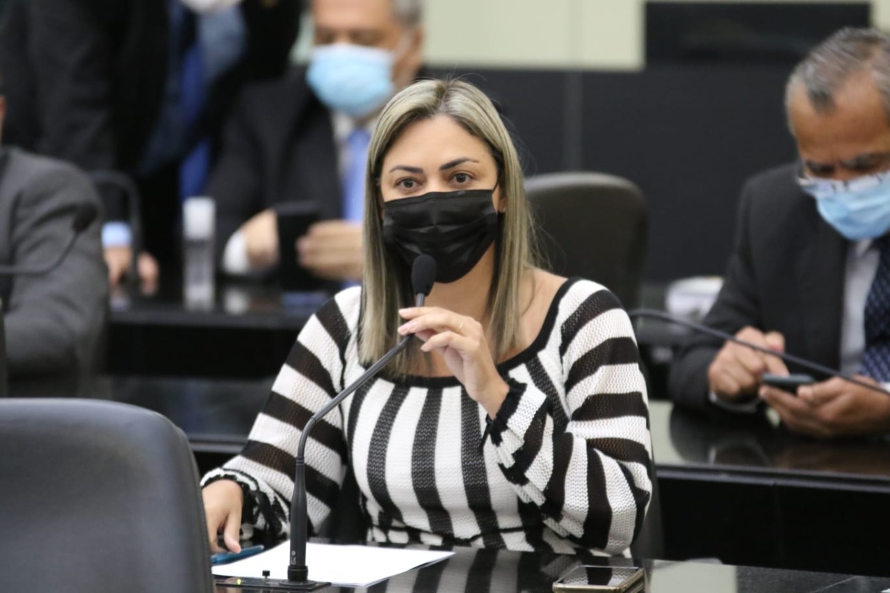 Flávia Cavalcante aponta necessidade de recuperação da mureta de ponte em São Luiz do Quitunde