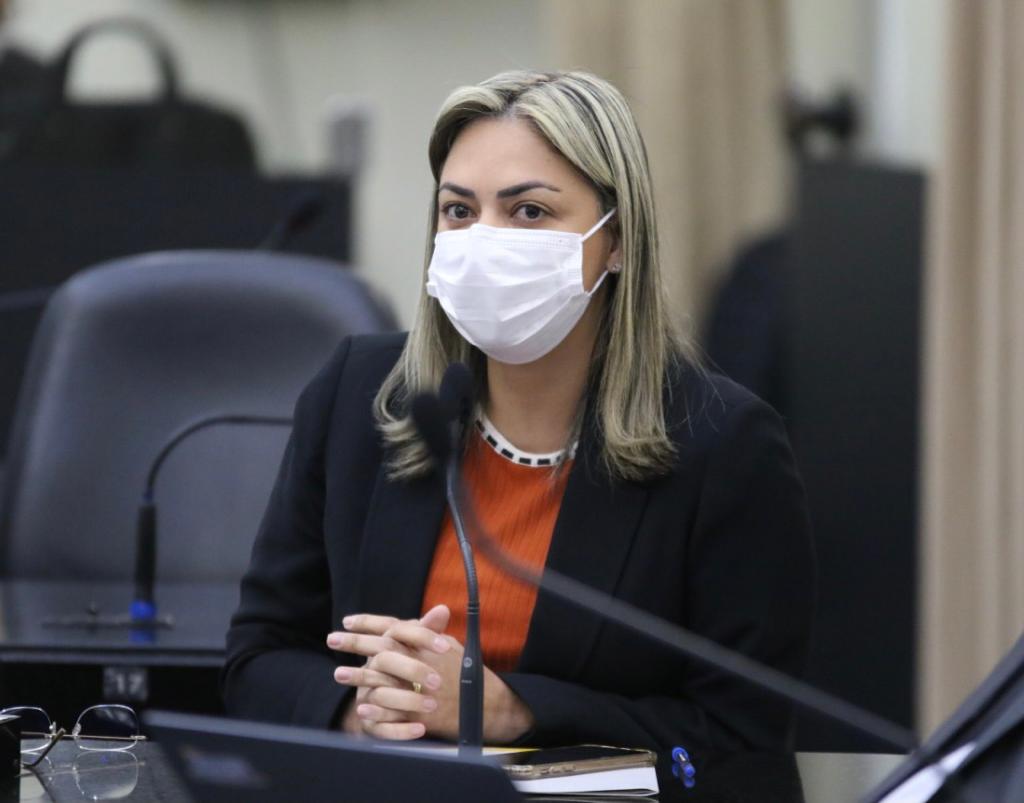Flávia Cavalcante solicita perfuração de poços artesianos em Maribondo e na Região Norte