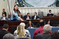 Legislativo discute regulamentação da produção e a comercialização de produtos artesanais no Estado