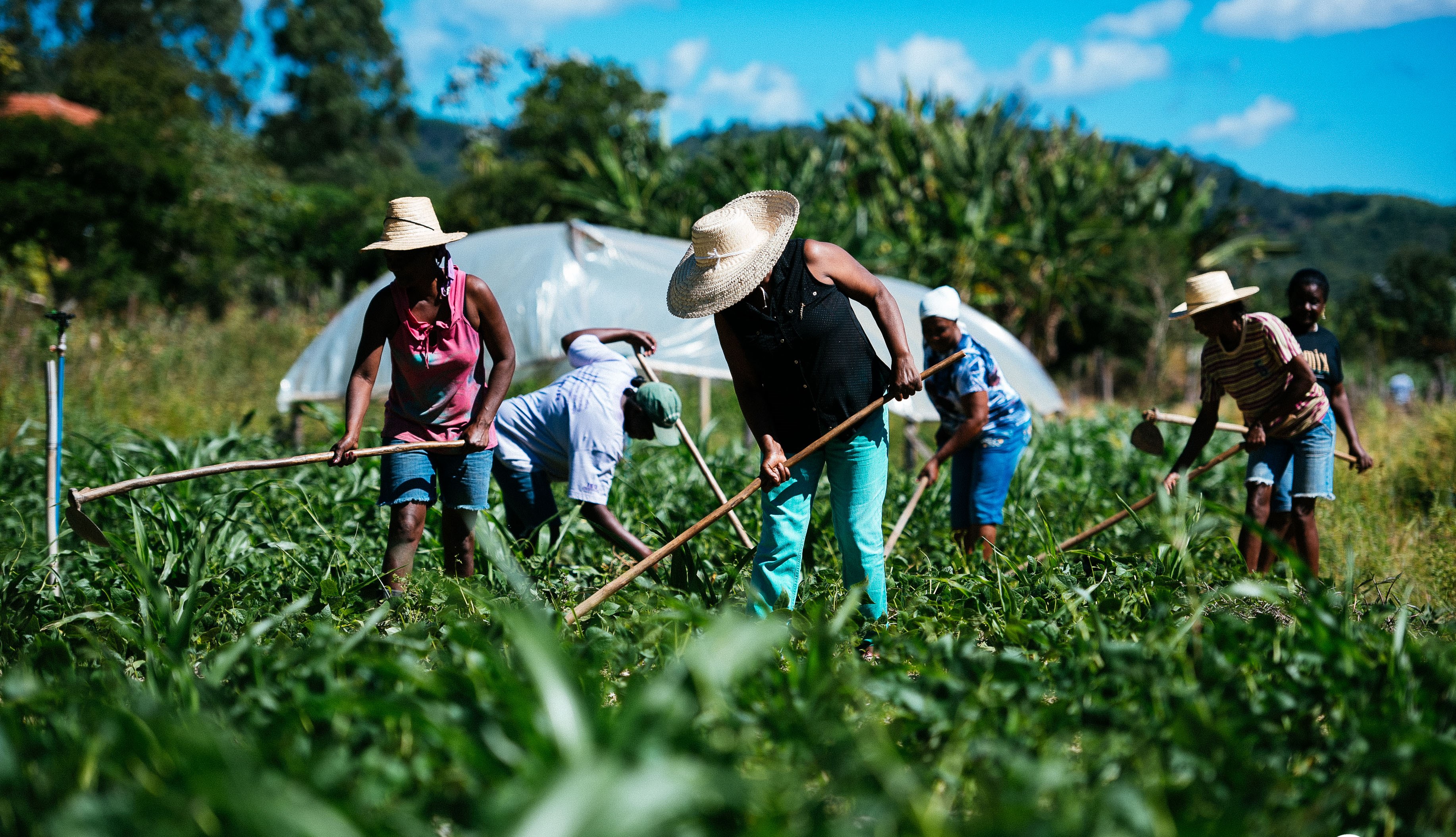 Inácio Loiola participa de seminário sobre agricultura familiar em Delmiro Gouveia
