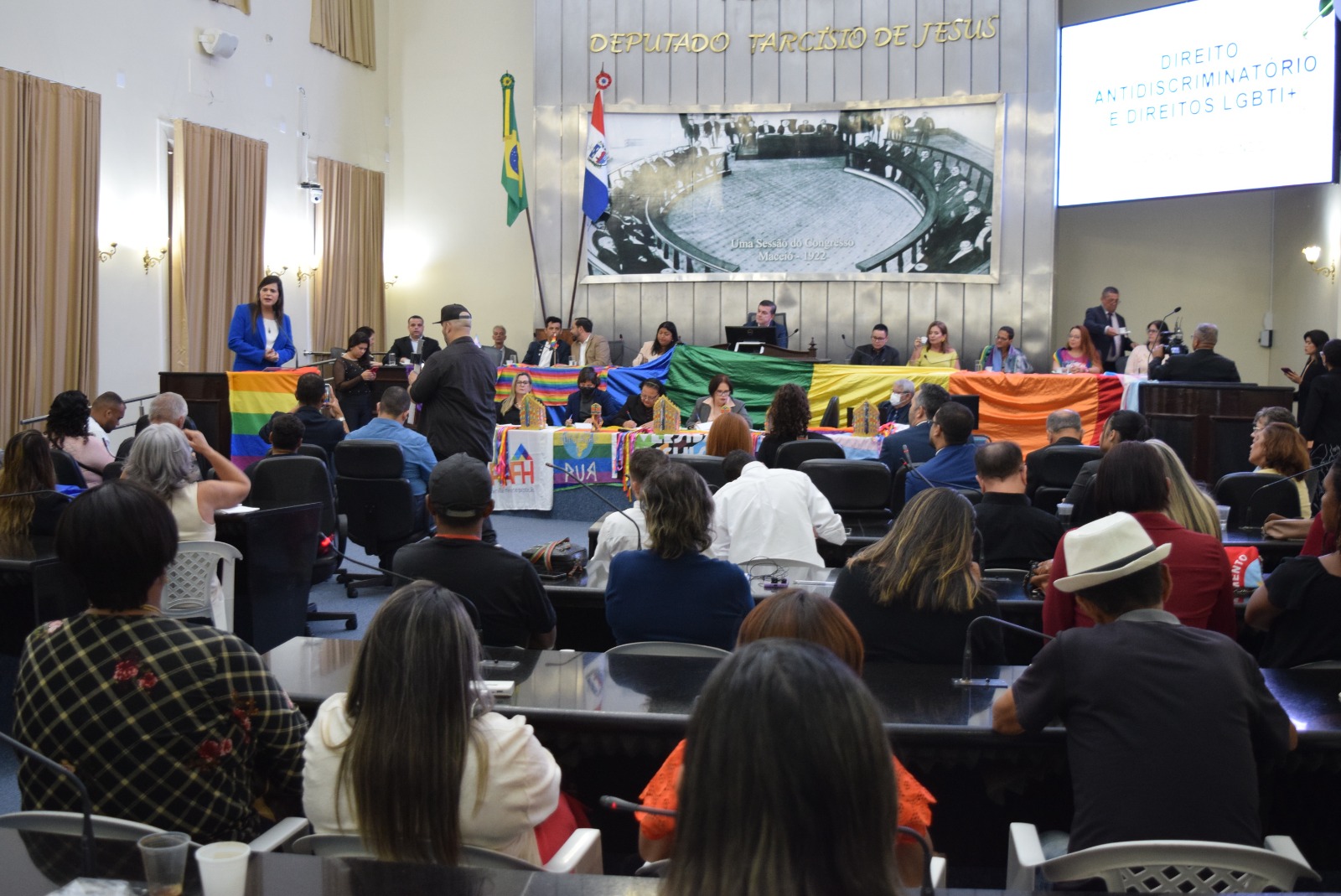 No Dia Internacional contra a LGBTfobia, sessão especial debate conscientização e políticas públicas para população LGBTQIAP+