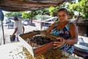 Projeto de lei institui o Dia Estadual da Marisqueira