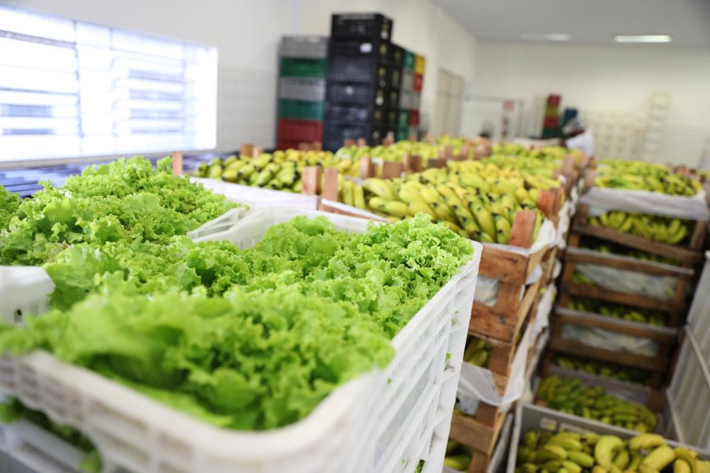 Projeto de lei cria o programa Banco de Alimentos de Alagoas