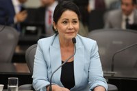 Projeto insere o programa Salto Azul no calendário anual de eventos do Estado 