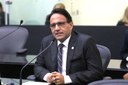 Projeto determina que empresas de energia elétrica realizem a "poda alta" Projeto determina que empresas de energia elétrica realizem a "poda alta"
