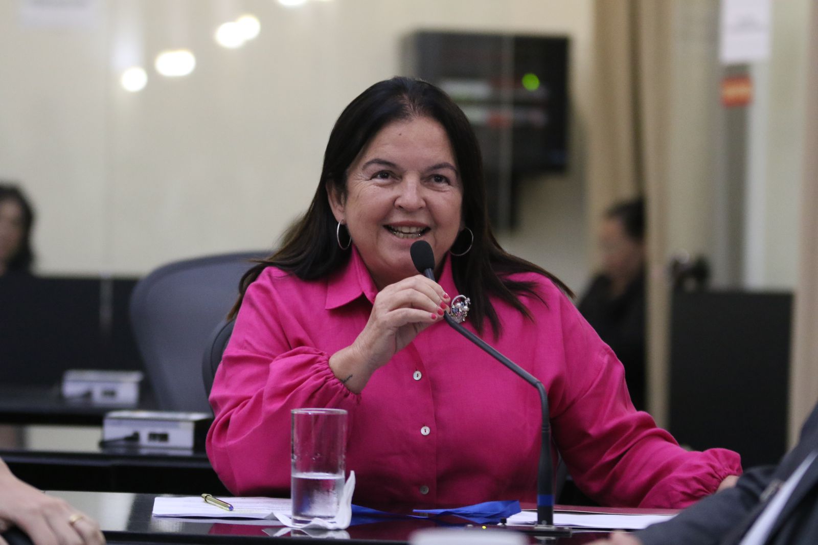 Projeto reconhece o bloco Leão de Aço como Patrimônio Cultural