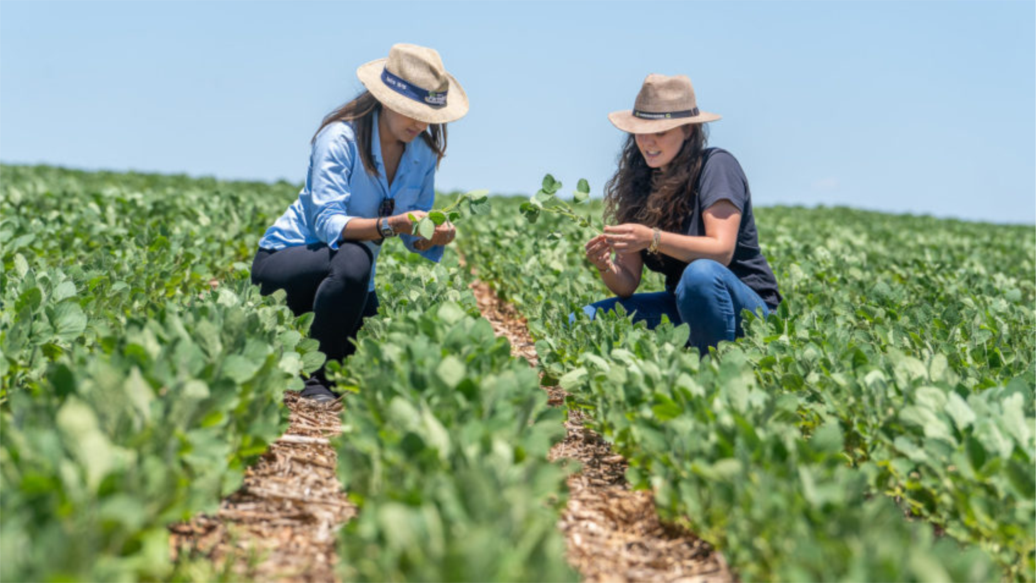 Aprovado em 1º turno projeto que institui o Dia da Mulher do Agro