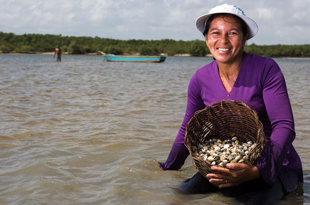 Projeto que institui a Política de Desenvolvimento e Apoio às Marisqueiras é debatido em 1º turno