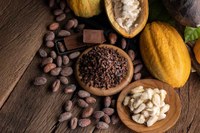 Aprovado em 1º turno projeto que institui a Política de Incentivo à Produção de Cacau de Qualidade 