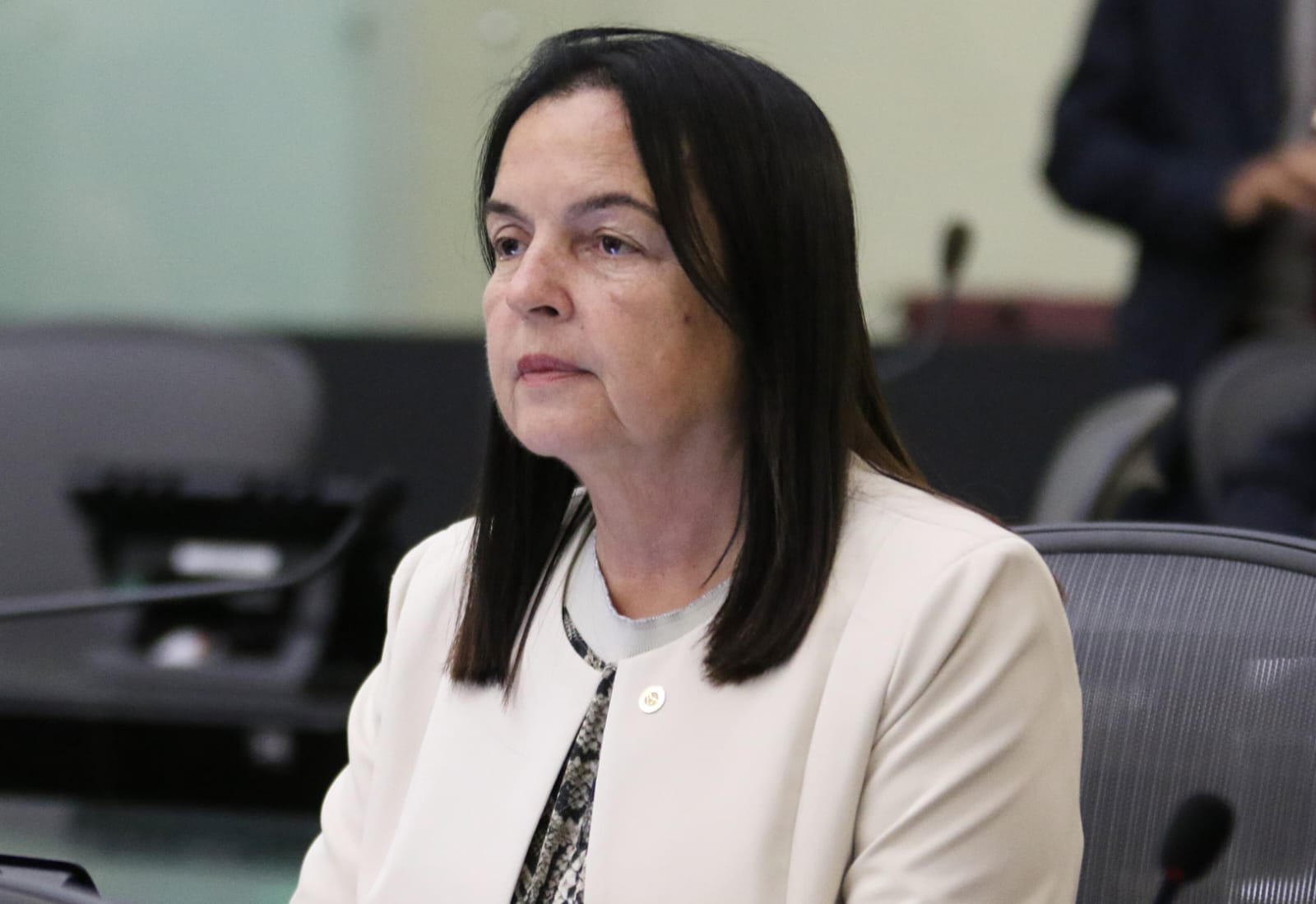 Aprovado em 1° turno projeto que institui o programa Feira da Mulher do Campo