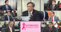 Parlamento alagoano adere ao "Outubro Rosa"