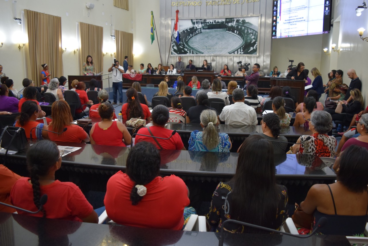 Plano Estadual de Políticas Públicas para as Mulheres é debatido em audiência pública