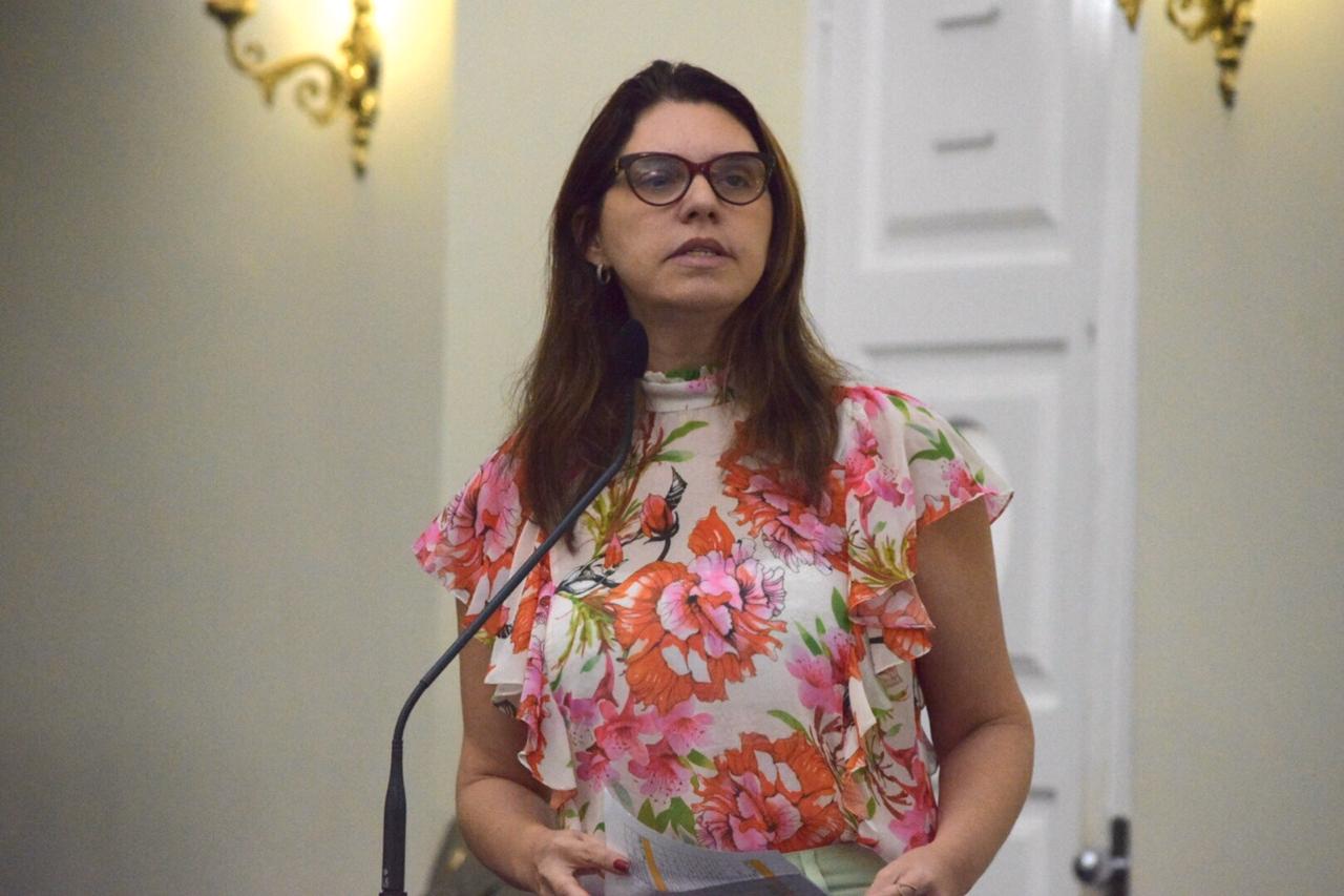 Deputados debatem ações do Legislativo durante a pandemia de coronavírus