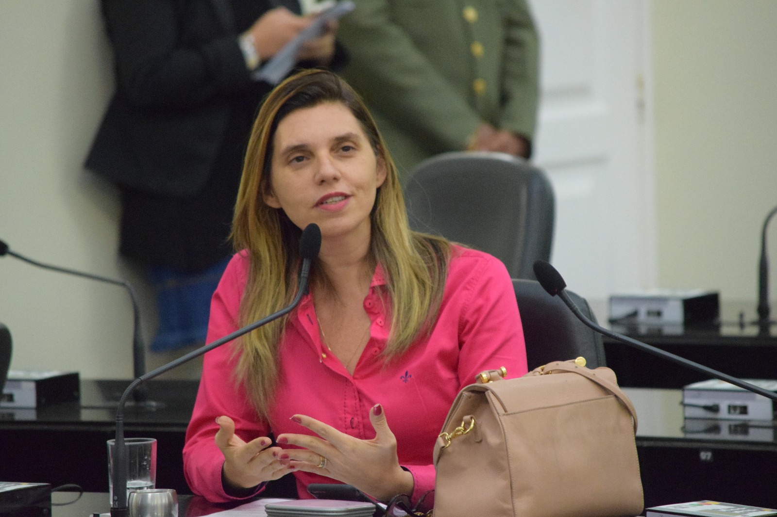 Projeto cria Procuradoria Especial da Mulher na Assembleia Legislativa