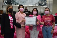 Rede Feminina de Combate ao Câncer é a primeira entidade agraciada com a Comenda Irmã Dulce