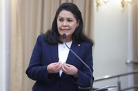Rose Davino propõe protolo para atendimentos terapêuticos público e privado