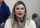 Aprovado projeto que autoriza Executivo a instituir o Programa Passe Livre Aprovado projeto que autoriza Executivo a instituir o Programa Passe Livre