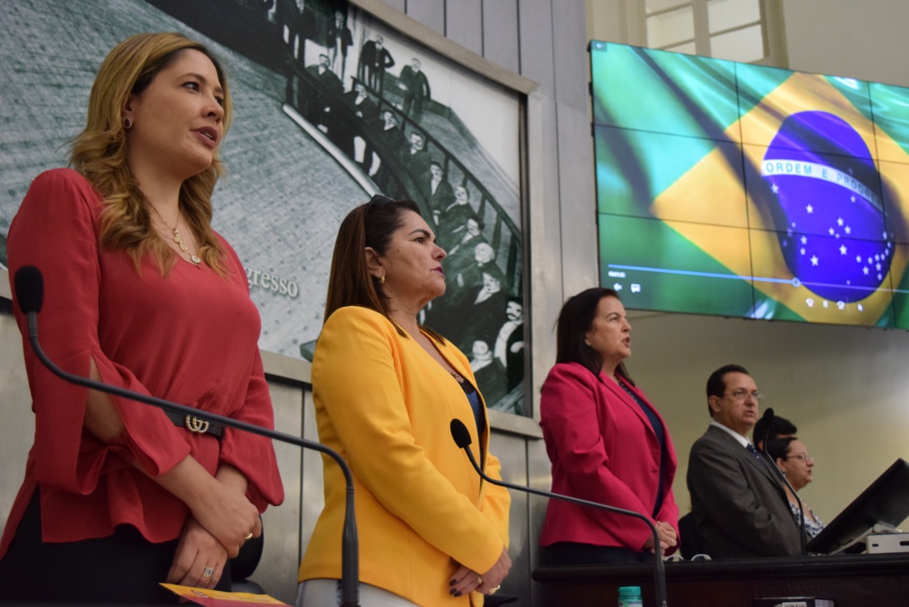 Sessão debate estratégias de melhoria na Atenção Básica à Saúde