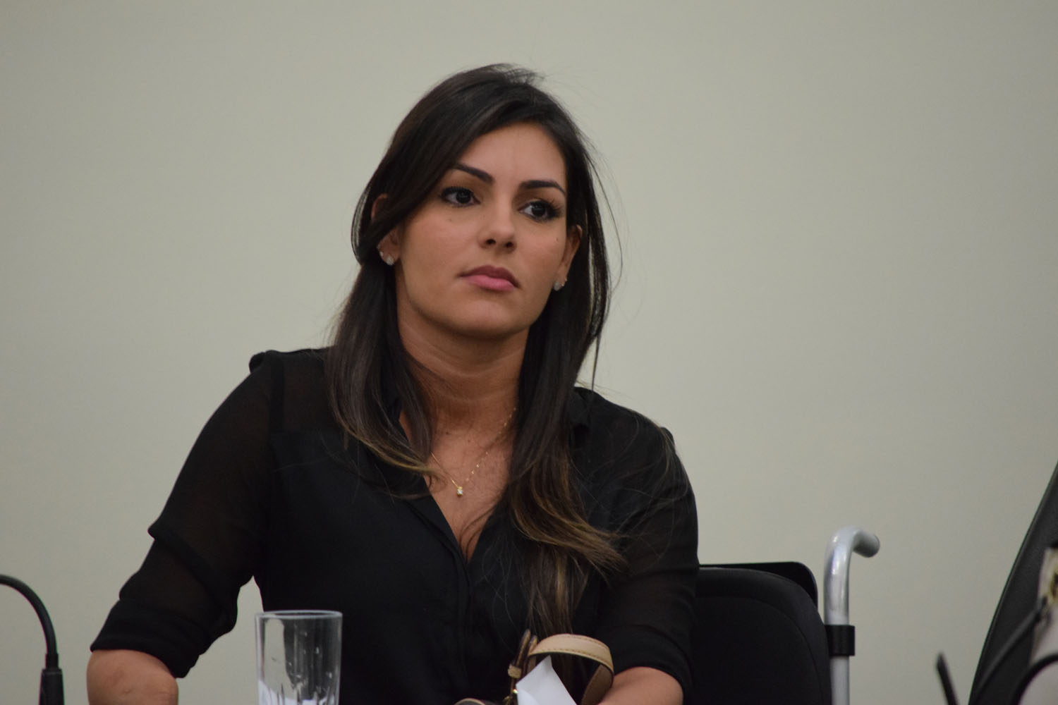 Thaise Guedes solicita a construção de pórticos em cidades turísticas