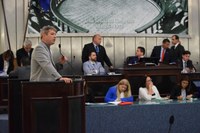 Tragédia em Suzano acirra debate sobre a liberação do porte de armas