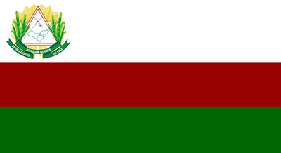 JoaquimGomes-Bandeira