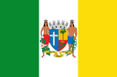 PalmeiradosIndios-Bandeira