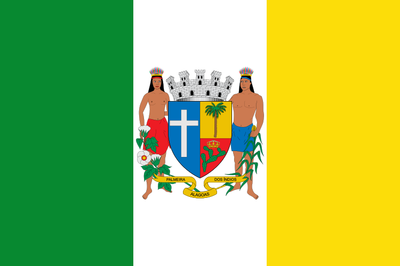 PalmeiradosIndios-Bandeira