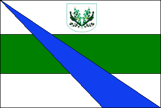 SenadorRuiPalmeira-Bandeira